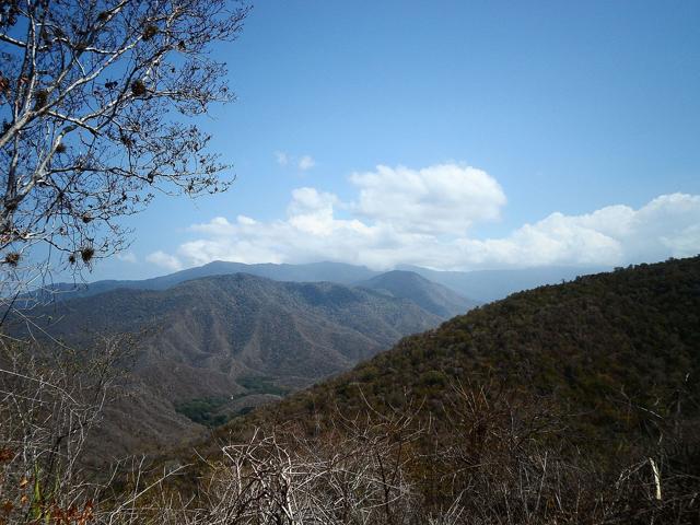 Henri Pittier National Park